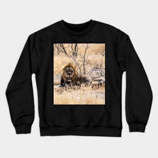 Lion in the sun. Crewneck Sweatshirt